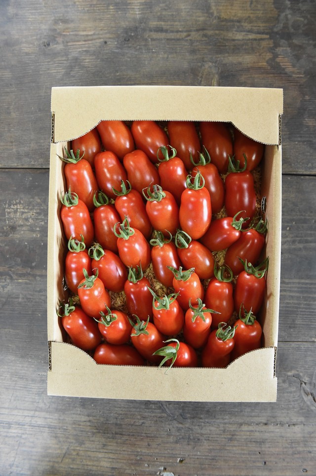 お徳用 アイコトマト 約1 4 栽培期間中農薬不使用 幸丸農園