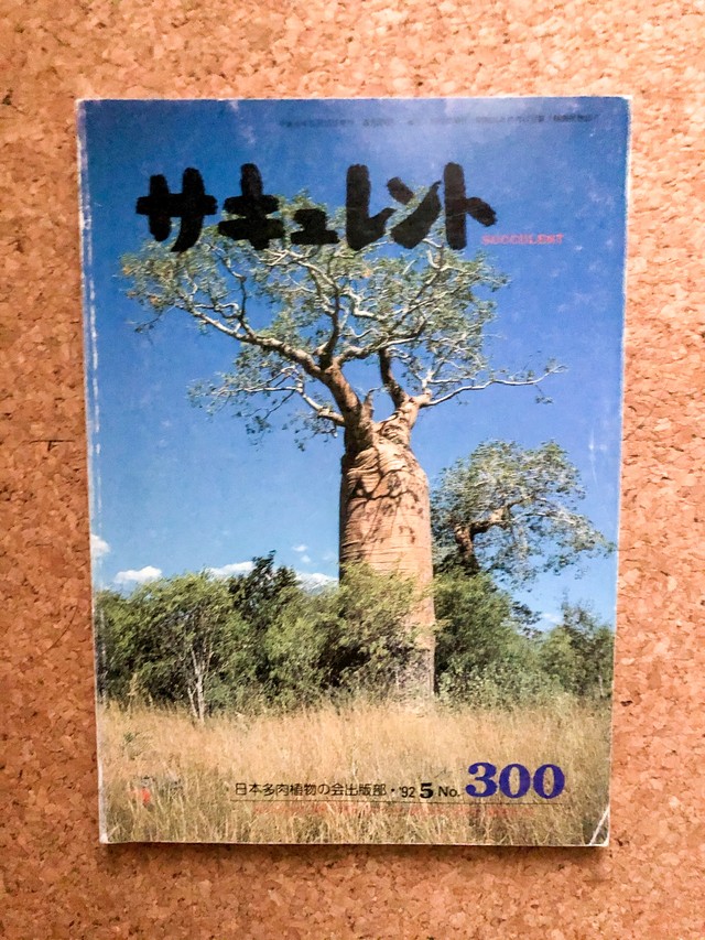 サキュレントno 300 記念誌 平成4年5月号 Monijan Quest