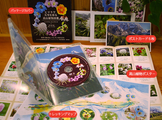 ヒマラヤ天空を彩る高山植物図鑑 キム スンヨンのdvd販売サイト