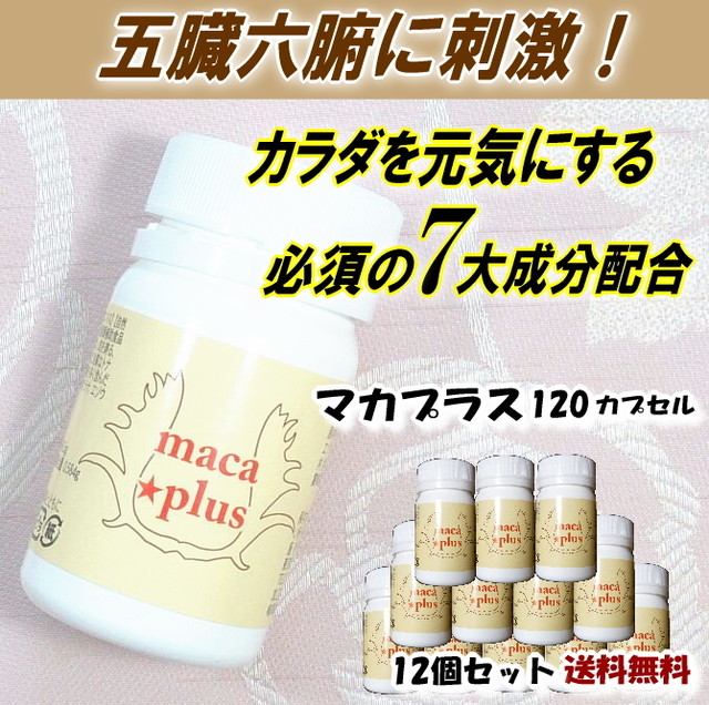 マカプラス1サプリ 12個セット 送料無料 マカ 更年期 女性ホルモン 漢方薬 エストロゲン 妊活 不妊 口コミ アミノ酸 アルギニン Cocopuri ココプリ