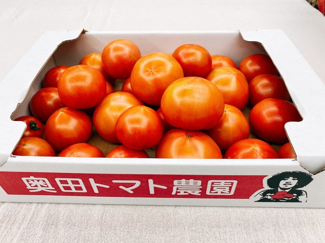 旬のお野菜セット グッズ付き フレッシュふじおか