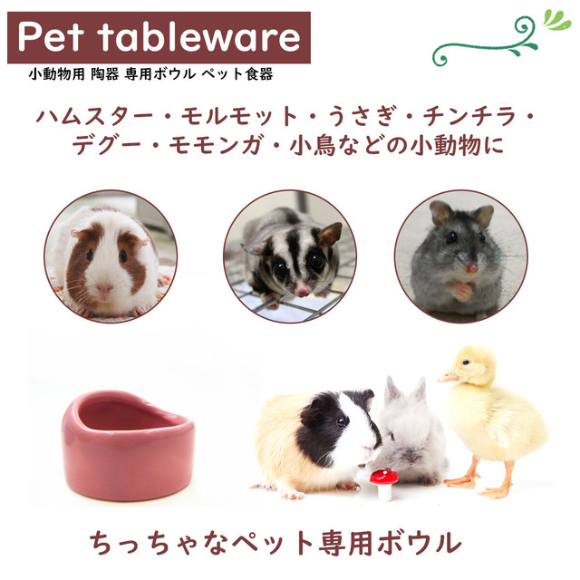 ハムスター 餌入れ えさ皿 小動物 ペット 陶器 セラミック モルモット モモンガ ピンク アクティブリッジ