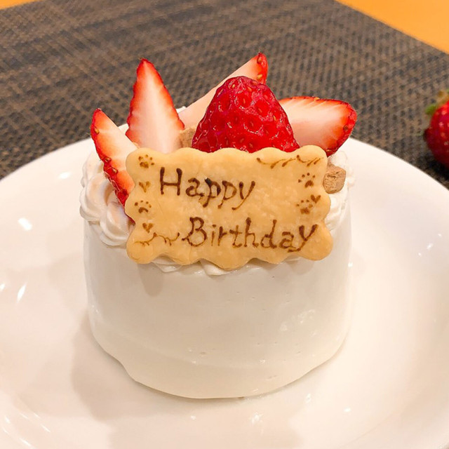 いちごショートケーキ わんちゃん用 Sサイズ Atterrace軽井沢ガーデンファーム