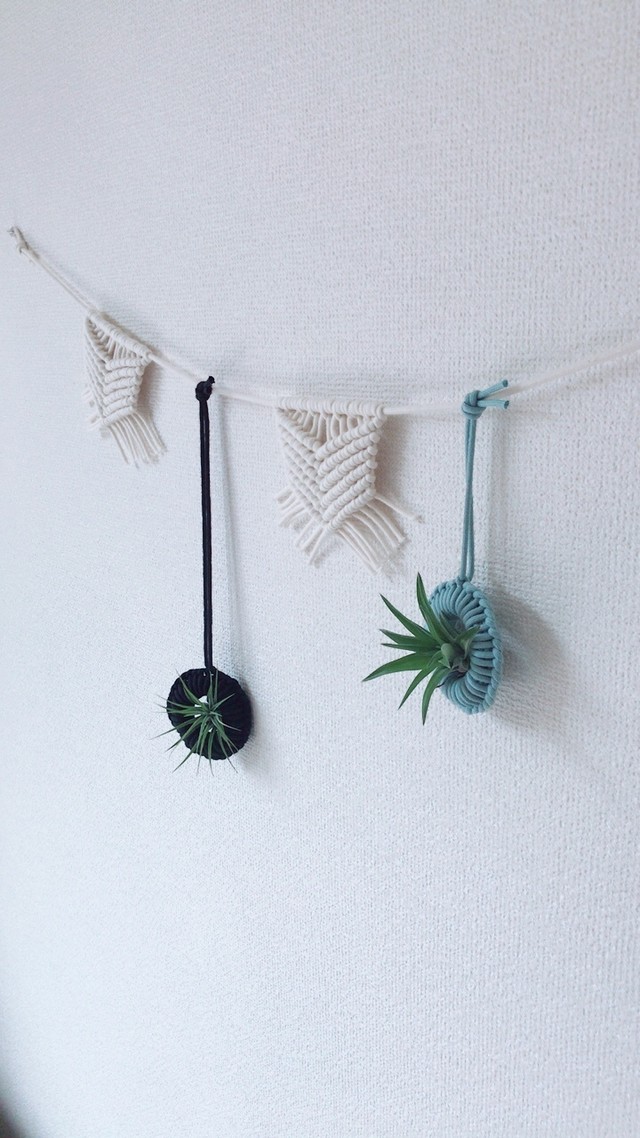 マクラメガーランド エアプランツホルダー Homely Design