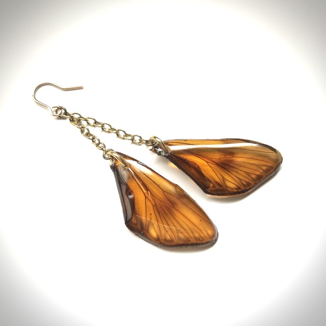 蝉の羽ピアス P 004 Cafe Gallery Synergy73