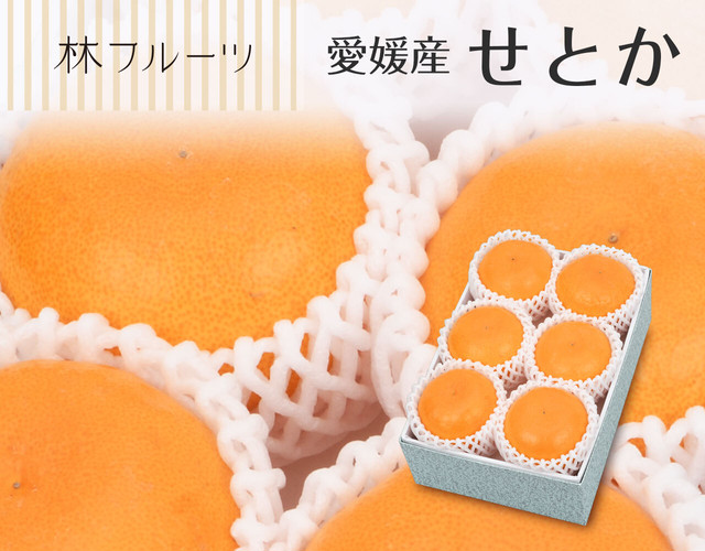 愛媛県産 せとか6個(計約1.8㎏)〔送料無料、せとか、柑橘、詰め合わせ、贈答用〕