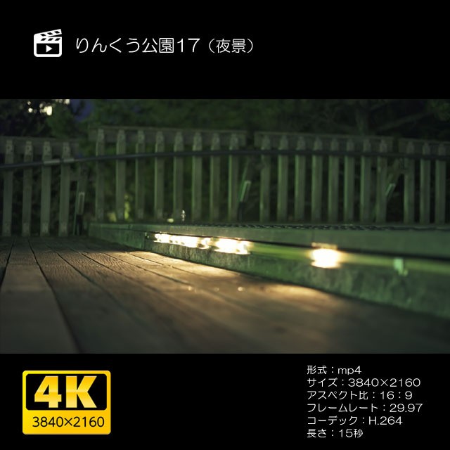 りんくう公園17 夜景 Moives