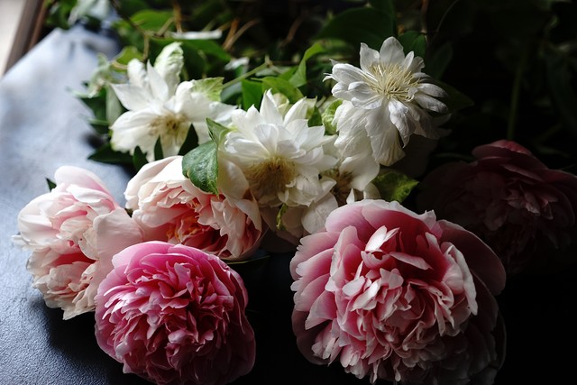 季節の旬をいける花づつみ 一回分 5月19日発送 Hinata Ikebana Studio