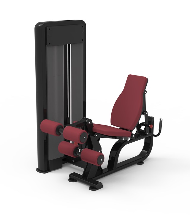 レッグエクステンション&ライイングレッグカール PRO YNE-5509