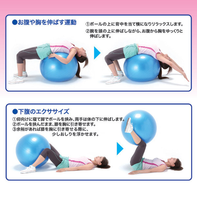 バランスボール アクティブシェイプボール 台座 エキスパンダー付き 直径65cm らくだ商会
