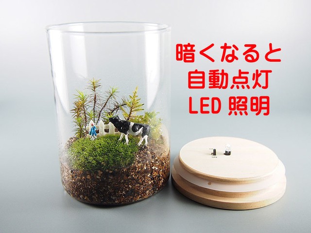 苔テラリウム 手作りキット一式 Led照明 工房 津軽moss