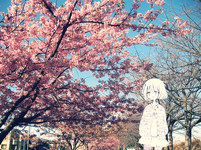 桜 イラストカード Apple Tree