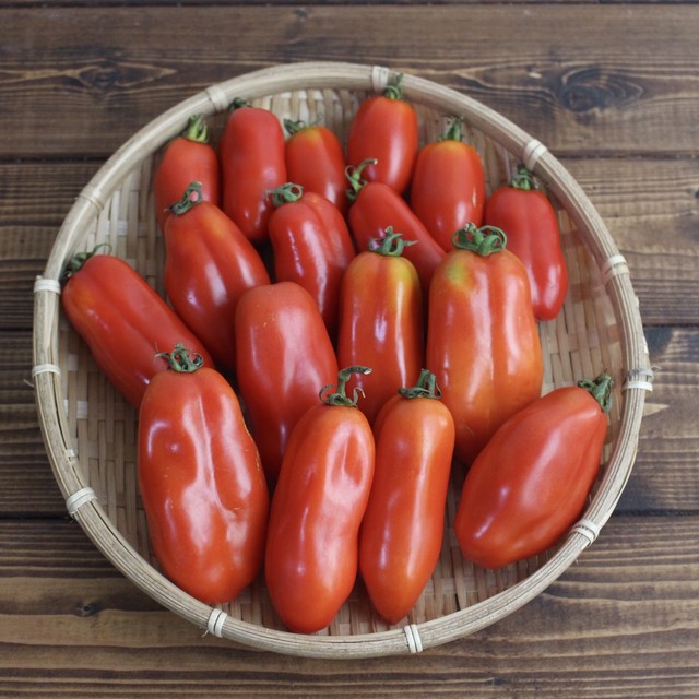 イタリアントマト サンマルツァーノ 1kg 30個前後 産地直送 農薬不使用 丹波篠山 Honki De Farm