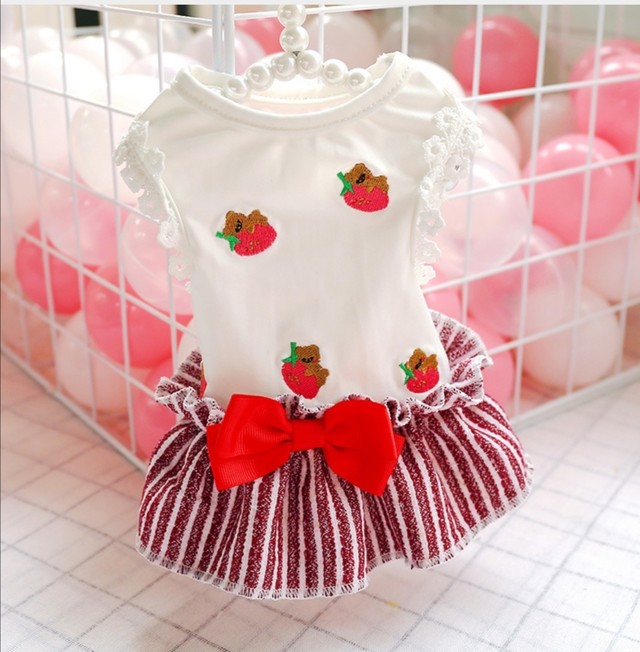 新作 くまさんイチゴワンピース 犬服 ワンピース お洋服 ドッグウェア 犬服 いぬふくronron S Shop