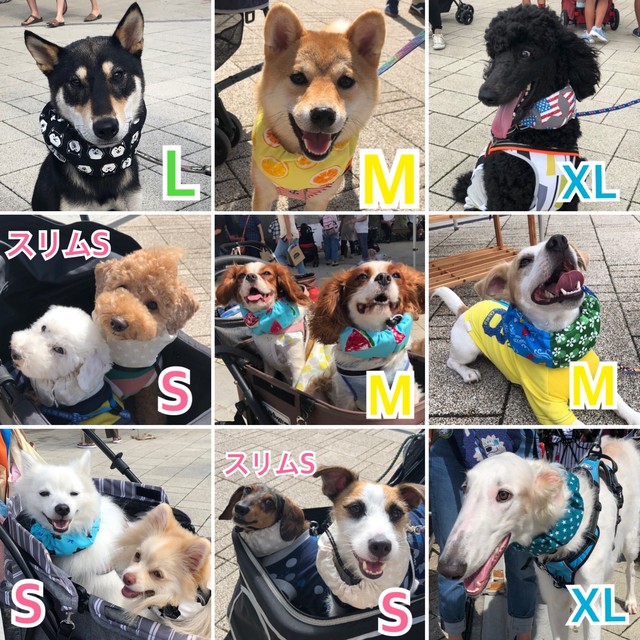 スリムxs ネッククーラー 保冷剤付き 犬 小型犬 犬グッズ Hi Be ハイビ