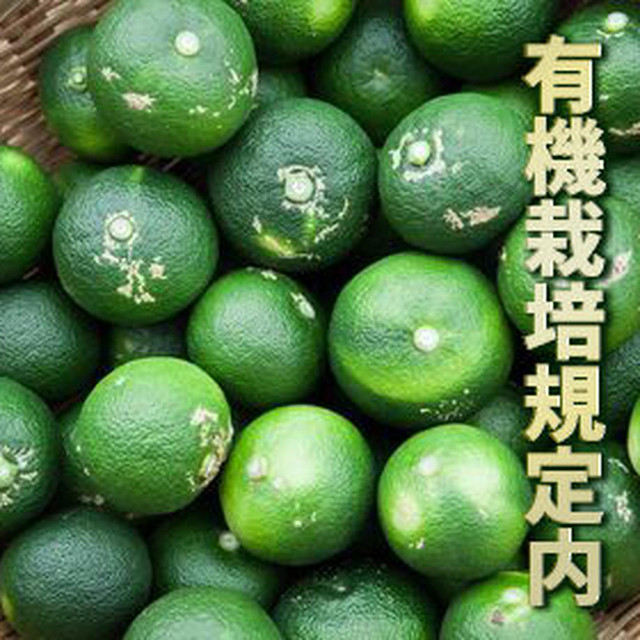 【とくしま県産】果皮まで安心!神山すだち10kg(有機栽培規定内)【スダチ精油サンプル付き】