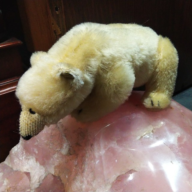 ドイツ シュタイフ社 Steiff シロクマ 白クマ 白熊 北極熊 ぬいぐるみ テディベア モヘア グラスアイ ビンテージ 古着屋 Sputonic