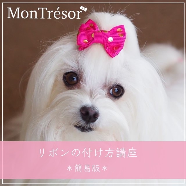 リボンの付け方講座 Montresor