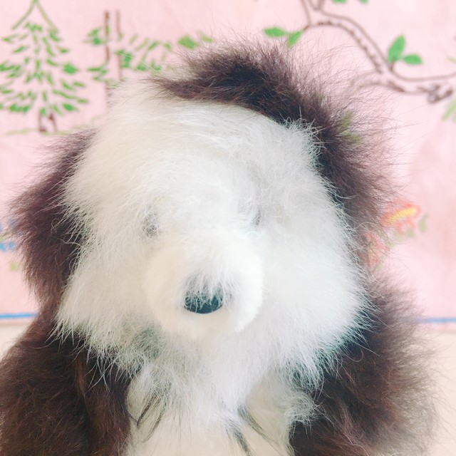 ベビーアルパカウール100 クマぬいぐるみss ホワイト チョコ Doudou Mooi ドゥドゥ モーイ