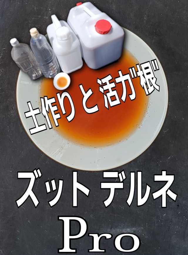 野菜作り土作り 土着菌の活性で根づくり微生物 発根活着促進ズットデルネ Pro５ｋｇ エポック ジャパン ベイス店