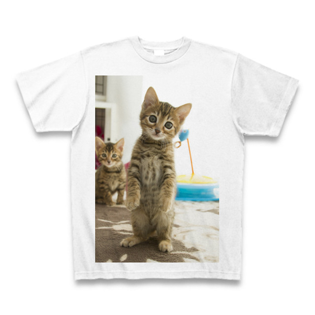 子猫のtシャツ1 送料無料 猫雑貨のお店 飛び猫商店