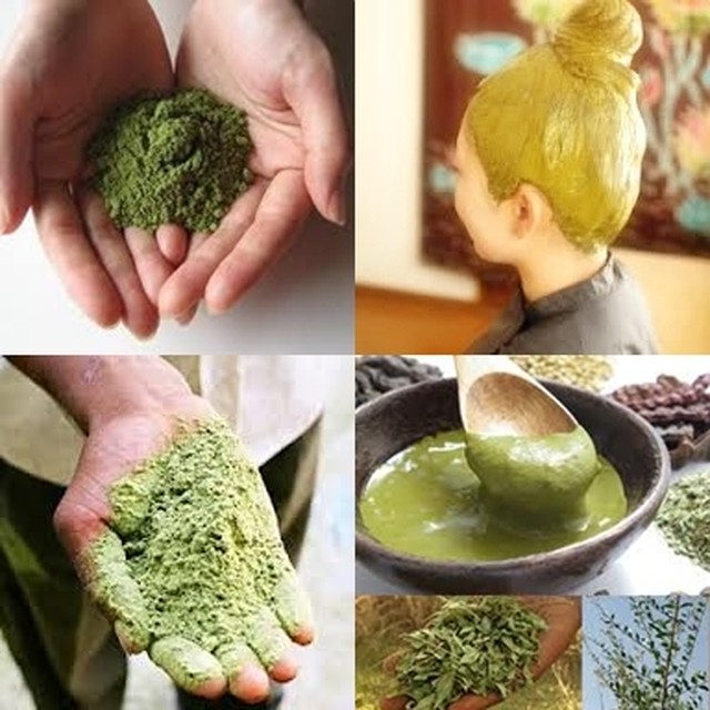 レインボウヘナ ブロンズイエロー 100g 1袋 ヘナカラー専科