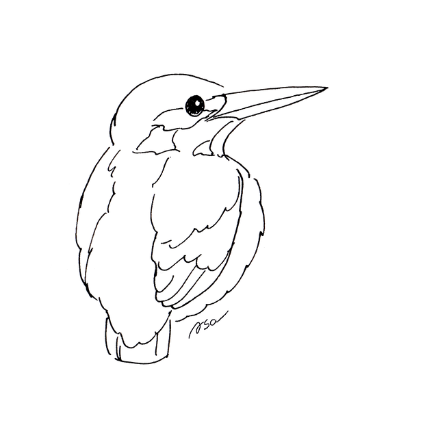 ぬりえ カワセミ とりなうた