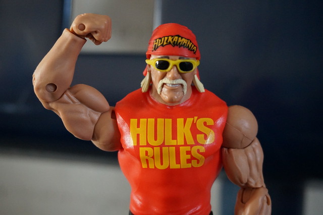 Hulk Hogan Figure Playful66