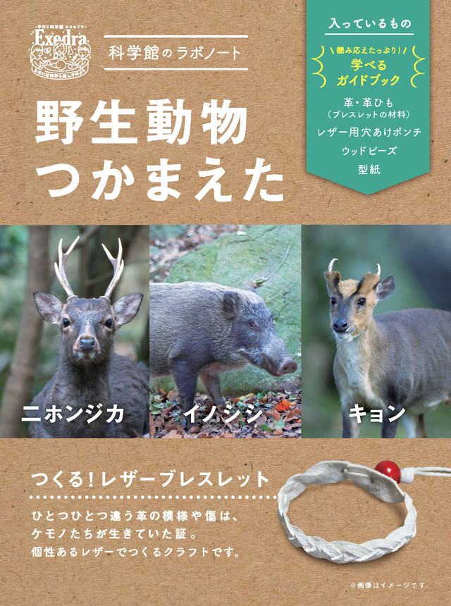 キョンにふれる レザーのペンケース 手作り科学館 Exedra