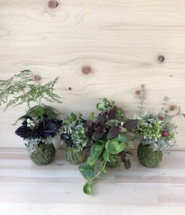 プランツボール かえだま アクアプラントポットs相当対応 ガーデンショップはなの樹