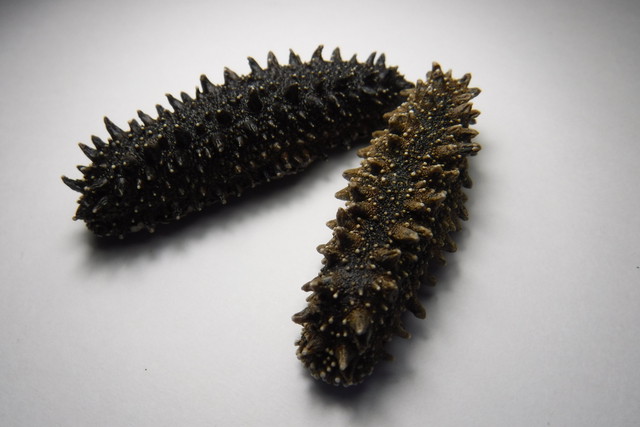 北海道 岩宇 なまこ 高級 干 なまこ 90g 瓶入り 北海道 地域商社 キットブルー