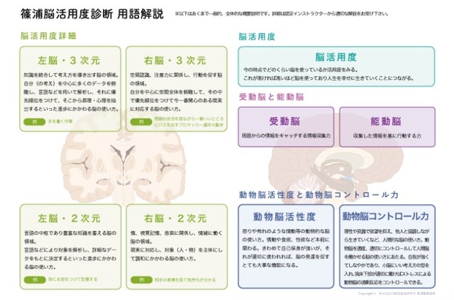 脳活用度診断 S Brain 2 800円 キャリアカウンセリング 診断テストの解説を含めて90分 フィードバックシート付き Career Knot