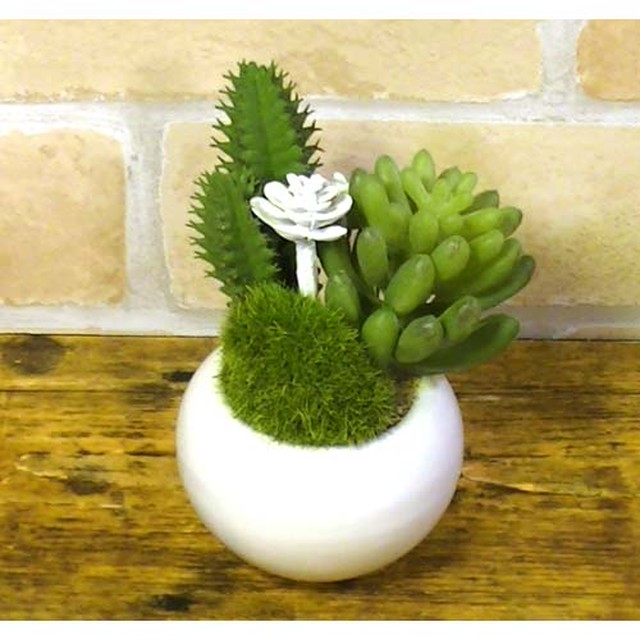 0918 空気をきれいにする光触媒 フェイクグリーン ミニ A 半永久的に 消臭 空気清浄 抗菌 多肉植物 サボテン おしゃれ 雑貨 Tkコレクション