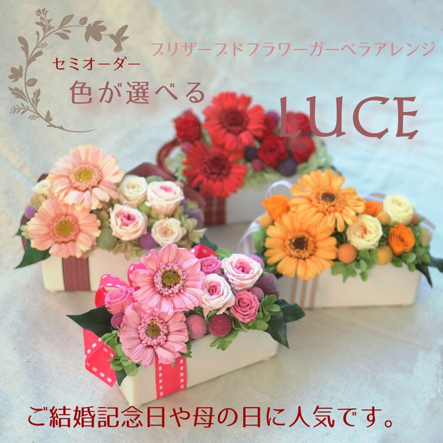 ガーベラ プリザーブドフラワー 色が選べるアレンジ Luce ケース入 母の日 誕生日祝い 結婚記念日 開店祝い Hanaco プリザーブドフラワー はなこ