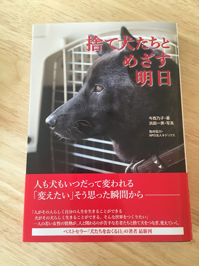 書籍 捨て犬たちとめざす明日 今西乃子 著 浜田一男 写真 Inumoku イヌモク