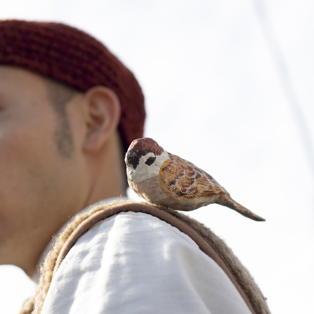 じつぶチュン スズメ ふくらんで正面を見据えチュン 株 とり Birds Inc