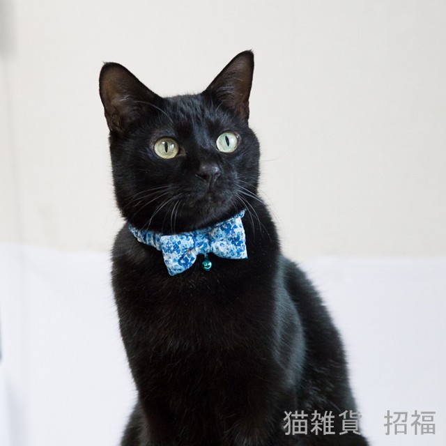 猫雑貨 招福 猫 子猫 首輪 シュシュ リボン 子猫 成猫まで サイズは多数から選べます 猫雑貨 招福