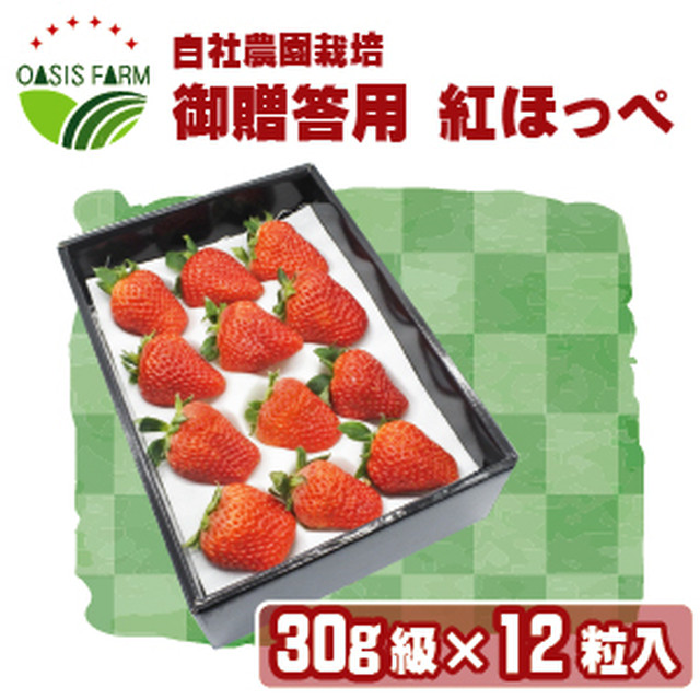 高糖度イチゴ 糖度15度 紅ほっぺ 30g級12粒詰め合わせ ご贈答用化粧箱入り オアシスファーム 苺の生産農家がつくる苺大福やその他旬のフルーツを使ったスイーツ販売