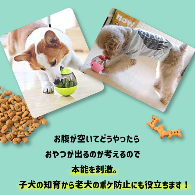 送料無料 おやつボール たまご 犬用 猫用 小型犬 起き上がる おやつ ペット おもちゃ ボウル 早食い防止 餌入れ ストレス解消 エサ 供給 知育玩具 フード 餌入れ 猫 早食い防止 ストレス解消 運動不足 老犬 ボケ防止 スローフード お留守番 Coccinelleshop かわいい