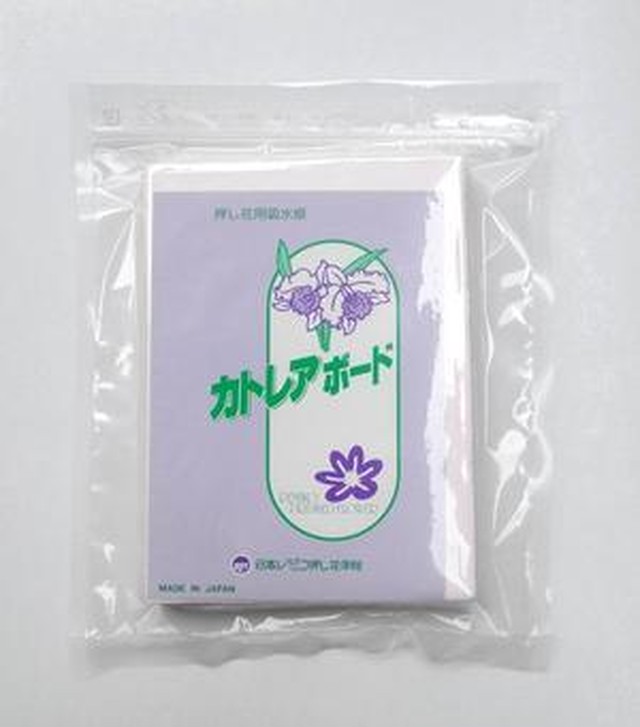 ミニ押し花器スペアパーツミニカトレアボード 6枚組 はがきサイズ Atelierjun