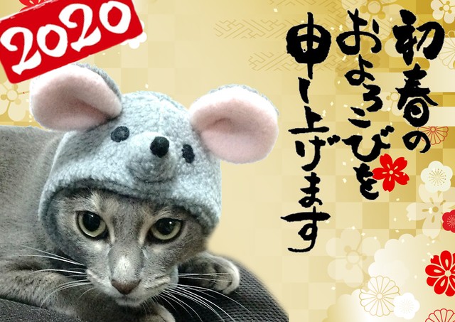ネズミのかぶりもの 帽子 犬用 猫用 コスプレ Beatitudo Studio