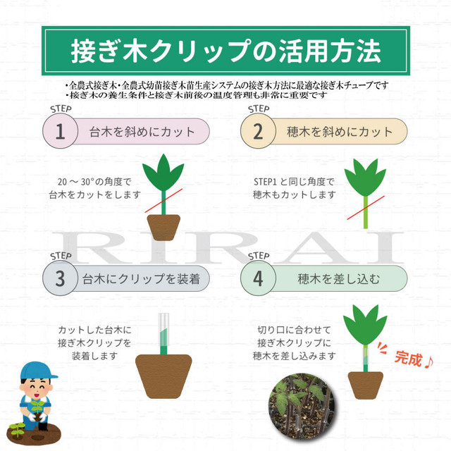 接ぎ木クリップ 送料無料 100個入 内径2 2mm 対応内径2 2 2 5mm Rirai ナス科 接ぎ木 苗 幼苗 接木 オリジナル園芸資材ｒｉｒａｉ