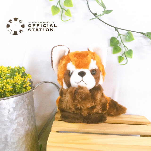 Zoo缶 レッサーパンダ Official Station