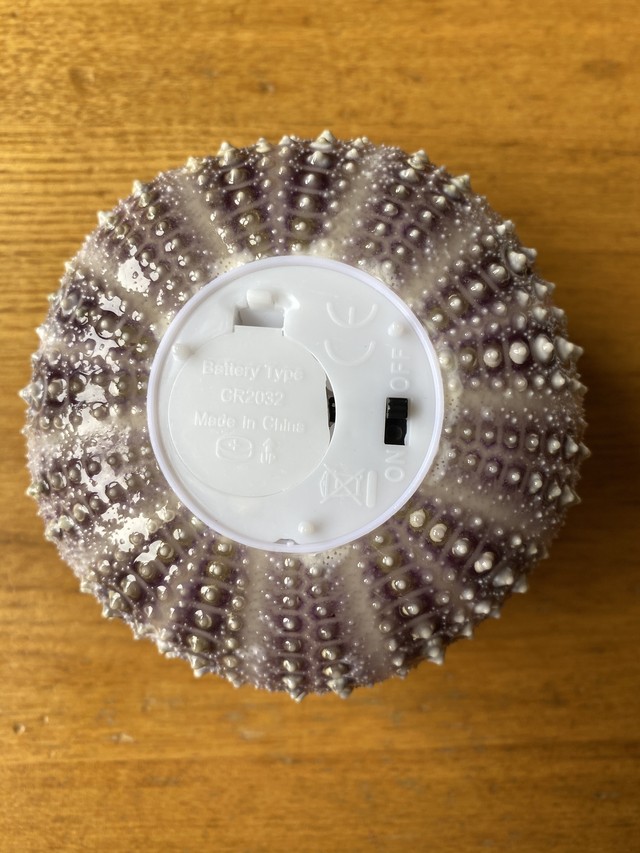 ピリカ玉 煌 ウニ殻のランプ Kaido Shop