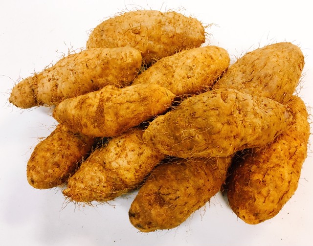 沖縄特産 ほどよい辛さ 島とうがらし手作りコーレーグースに Adan Okinawa アダン沖縄 Base店 熱帯フルーツ 島野菜 沖縄特産品 ちょっとお取り寄せ