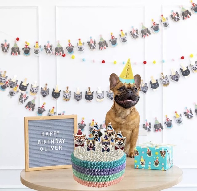 誕生日グッズ Birthday Goods Merry Dog メリードッグ 愛犬のためのペットフード おやつ ペット用品専門店