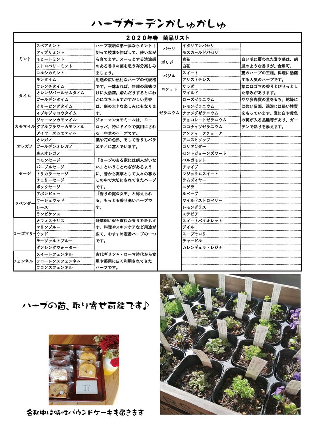 ハーブ苗 ハーブ屋さんのパウンドケーキセット 京都丹波 技への扉がポンとひらく わざどころpon ハーブ苗 ハーブ屋さんのパウンドケーキセット 京都丹波 技への扉がポンとひらく わざどころpon