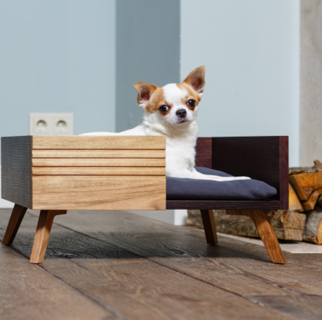 ペット用 モダンデザイン ソファーベッド ソファーマット 犬舎 室内用 犬小屋 ロシア Pettel社製 愛犬 愛猫 共用 ヨーロピアン モダンスタイル家具 小型犬 中型犬 超小型犬 室内犬 直輸入品 ワンちゃん用セレクトショップワンワンダフル