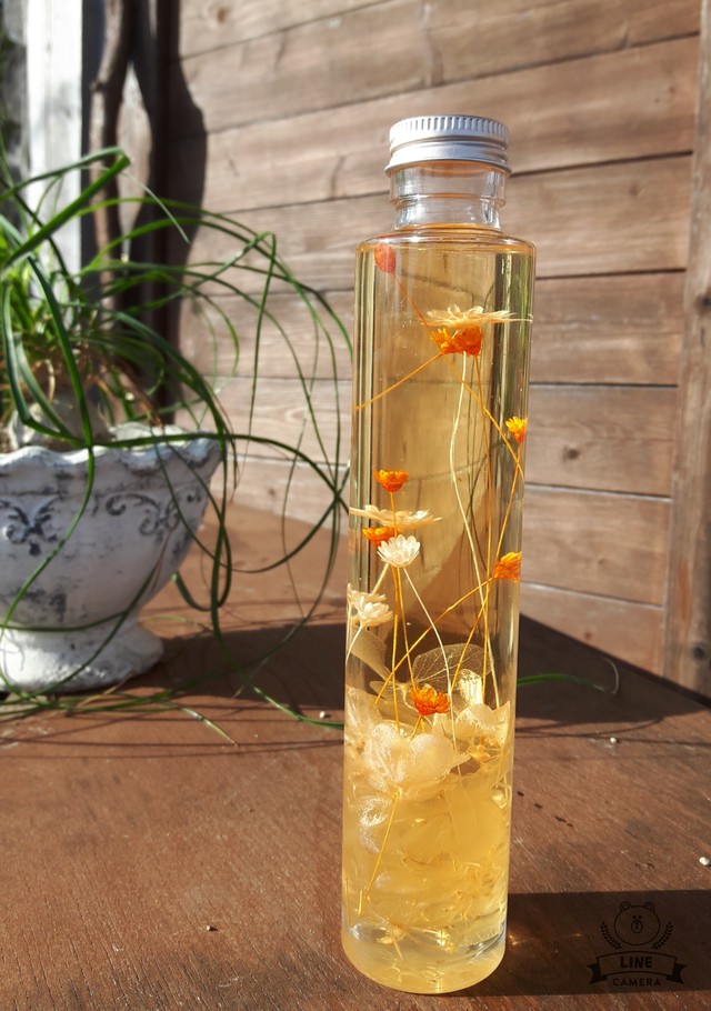 ハーバリウム オレンジ Katorie