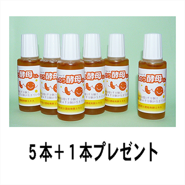 ばんのう酵母くん6本入り 目 風邪予防 胃腸 他多 Koizumi3315